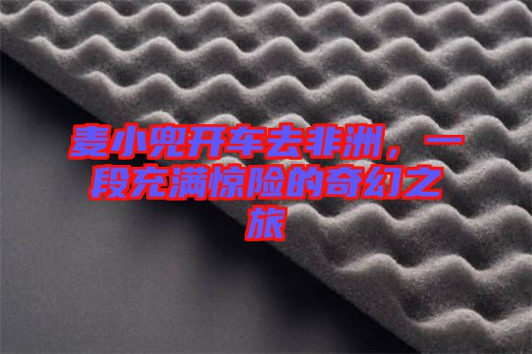 麥小兜開車去非洲，一段充滿驚險的奇幻之旅