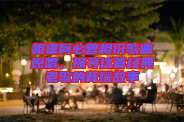 相逢何必曾相識歌曲原唱，探尋這首經(jīng)典老歌的背后故事