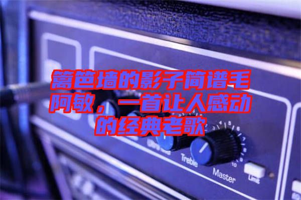 籬笆墻的影子簡譜毛阿敏，一首讓人感動的經(jīng)典老歌