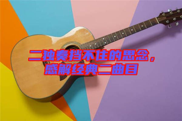 二獨(dú)奏擋不住的思念，感解經(jīng)典二曲目