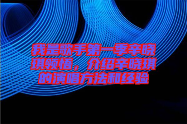 我是歌手第一季辛曉琪領悟，介紹辛曉琪的演唱方法和經(jīng)驗