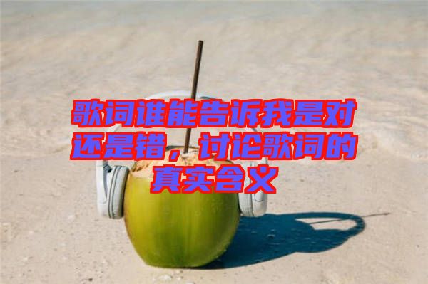 歌詞誰能告訴我是對還是錯，討論歌詞的真實含義