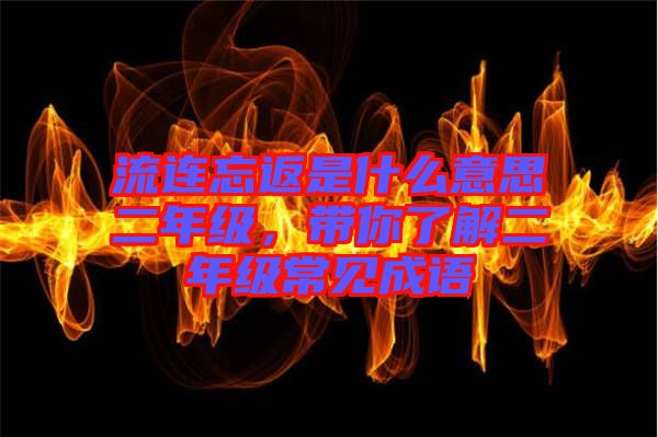 流連忘返是什么意思二年級，帶你了解二年級常見成語