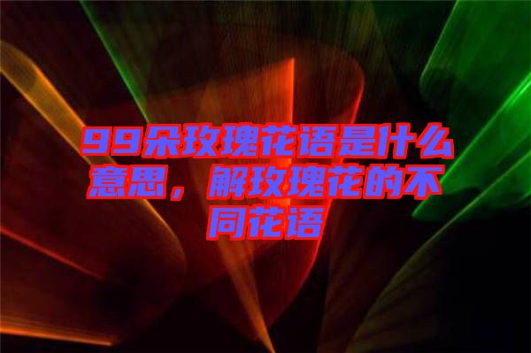 99朵玫瑰花語是什么意思，解玫瑰花的不同花語