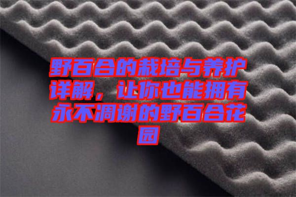 野百合的栽培與養(yǎng)護(hù)詳解，讓你也能擁有永不凋謝的野百合花園