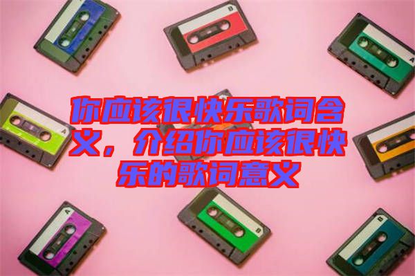 你應該很快樂歌詞含義，介紹你應該很快樂的歌詞意義