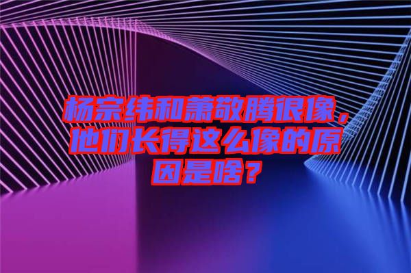 楊宗緯和蕭敬騰很像，他們長得這么像的原因是啥？