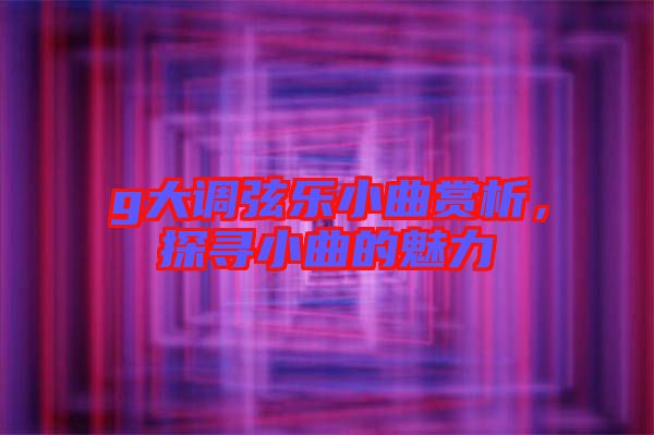 g大調(diào)弦樂小曲賞析，探尋小曲的魅力