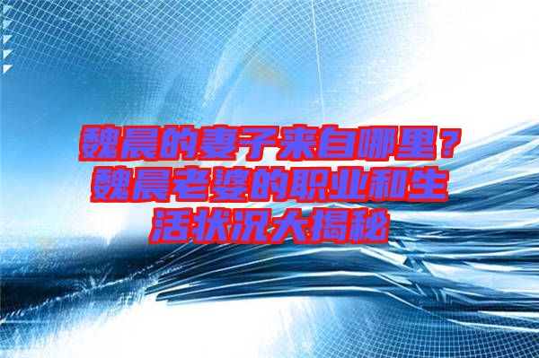 魏晨的妻子來(lái)自哪里？魏晨老婆的職業(yè)和生活狀況大揭秘