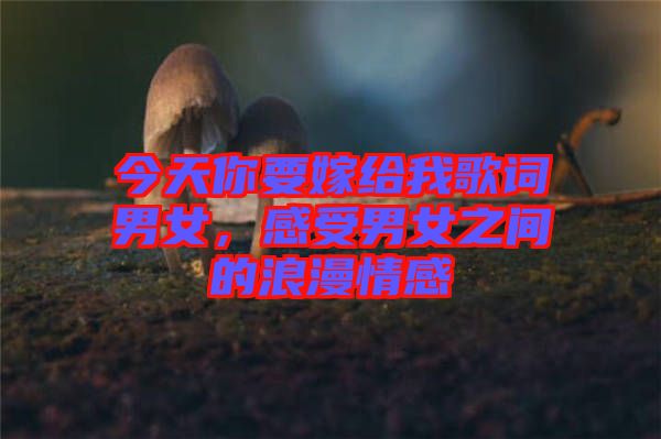 今天你要嫁給我歌詞男女，感受男女之間的浪漫情感