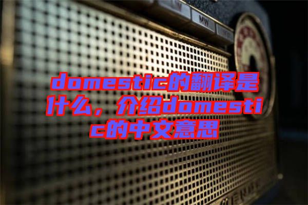 domestic的翻譯是什么，介紹domestic的中文意思