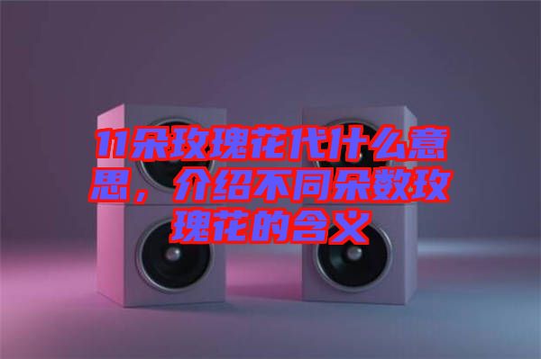 11朵玫瑰花代什么意思，介紹不同朵數(shù)玫瑰花的含義