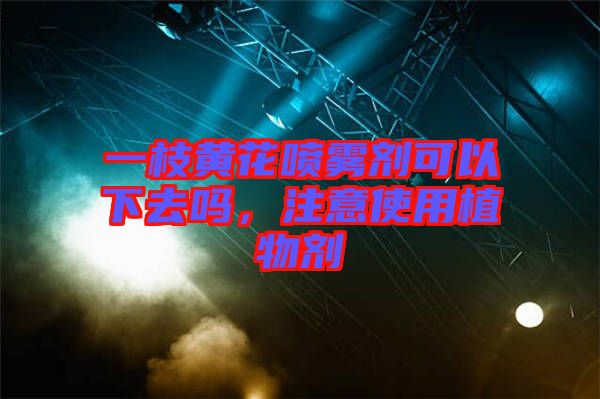 一枝黃花噴霧劑可以下去嗎，注意使用植物劑