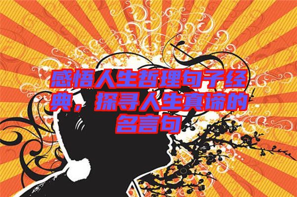 感悟人生哲理句子經(jīng)典，探尋人生真諦的名言句