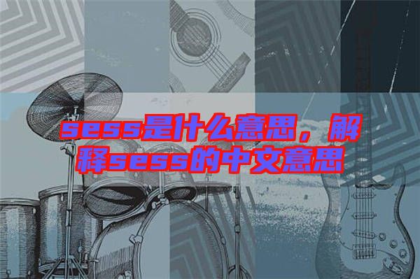 sess是什么意思，解釋sess的中文意思