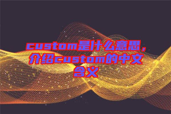 custom是什么意思，介紹custom的中文含義