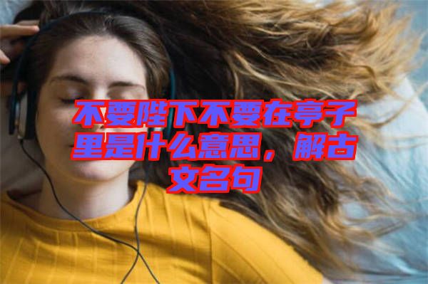 不要陛下不要在亭子里是什么意思，解古文名句