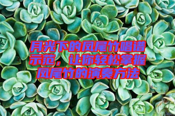 月光下的鳳尾竹唱譜示范，讓你輕松掌握鳳尾竹的演奏方法