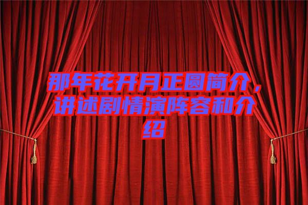 那年花開月正圓簡(jiǎn)介，講述劇情演陣容和介紹