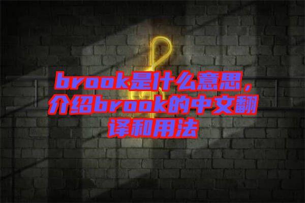 brook是什么意思，介紹brook的中文翻譯和用法