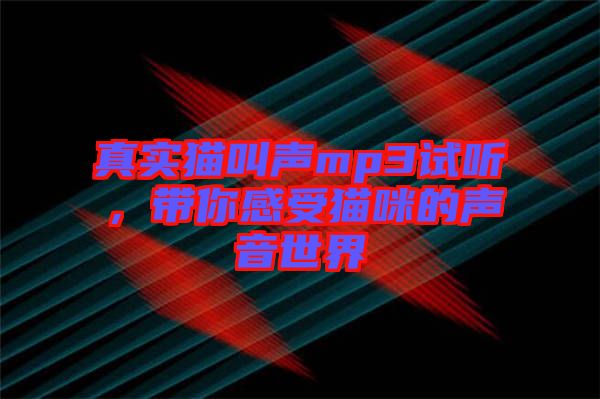 真實(shí)貓叫聲mp3試聽(tīng)，帶你感受貓咪的聲音世界