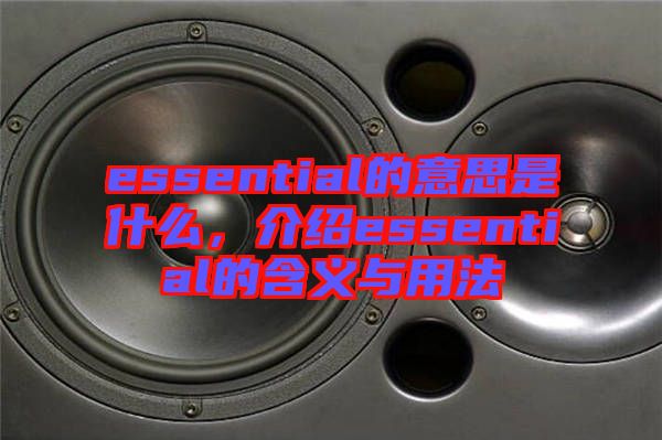 essential的意思是什么，介紹essential的含義與用法