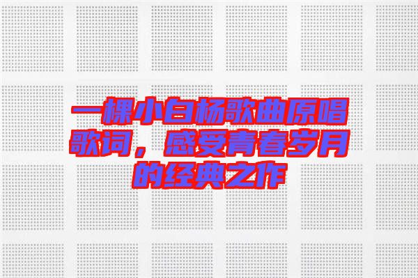 一棵小白楊歌曲原唱歌詞，感受青春歲月的經(jīng)典之作