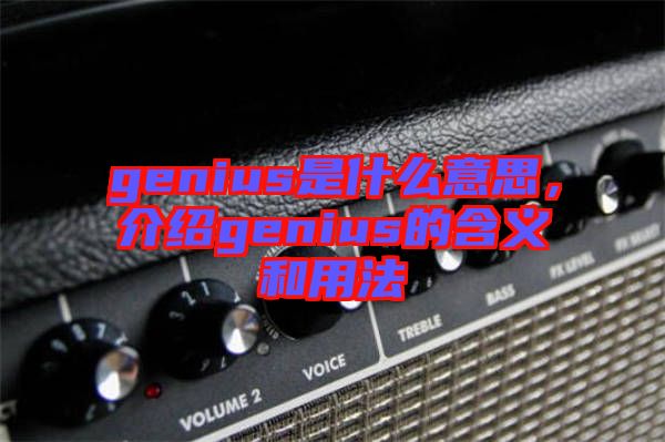 genius是什么意思，介紹genius的含義和用法