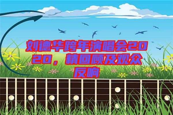 劉德華跨年演唱會(huì)2020，精回顧及觀眾反響