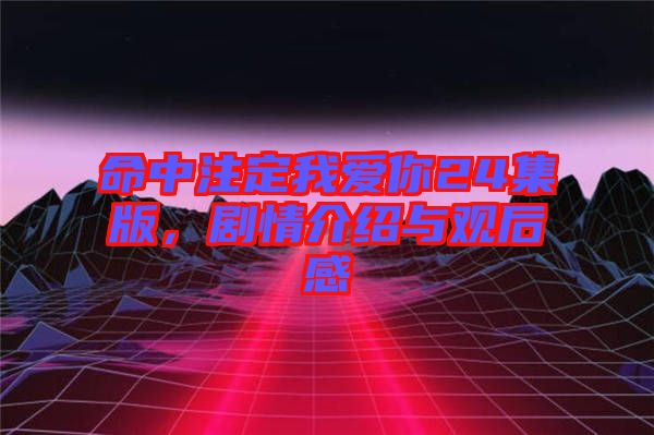 命中注定我愛你24集版，劇情介紹與觀后感