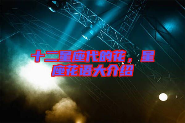十二星座代的花，星座花語大介紹
