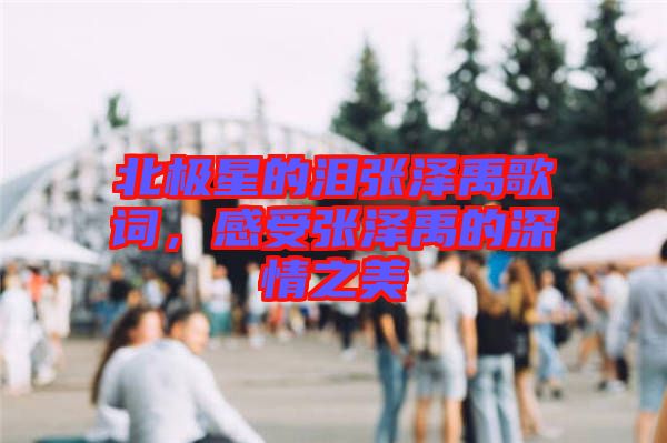 北極星的淚張澤禹歌詞，感受張澤禹的深情之美