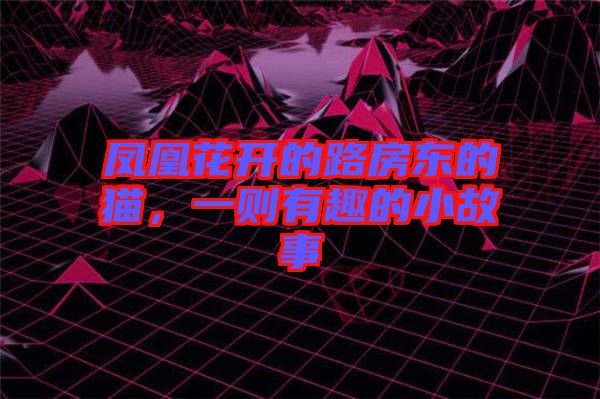 鳳凰花開的路房東的貓，一則有趣的小故事