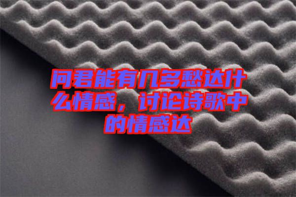 問君能有幾多愁達(dá)什么情感，討論詩歌中的情感達(dá)