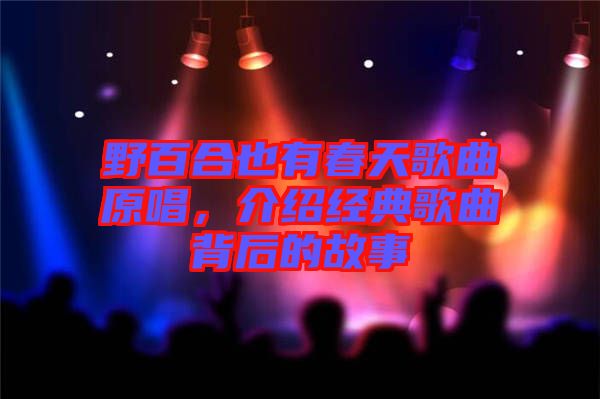 野百合也有春天歌曲原唱，介紹經(jīng)典歌曲背后的故事