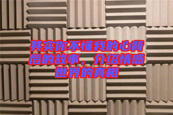 其實(shí)你不懂我的心背后的故事，介紹情感世界的真相