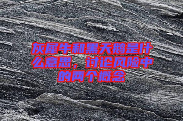 灰犀牛和黑天鵝是什么意思，討論風(fēng)險(xiǎn)中的兩個(gè)概念
