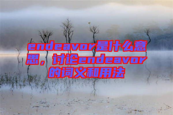 endeavor是什么意思，討論endeavor的詞義和用法