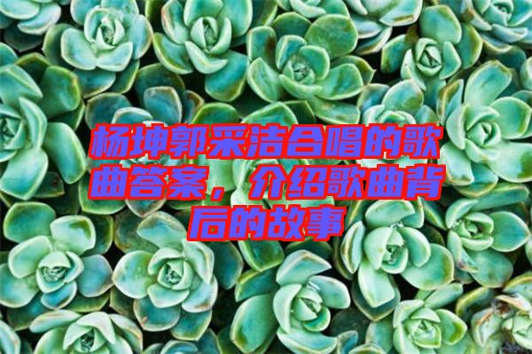 楊坤郭采潔合唱的歌曲答案，介紹歌曲背后的故事