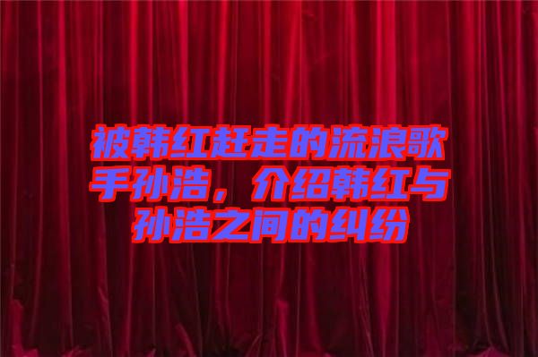 被韓紅趕走的流浪歌手孫浩，介紹韓紅與孫浩之間的糾紛