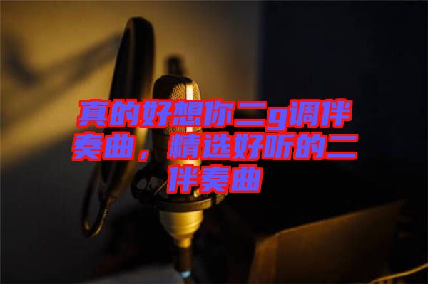 真的好想你二g調(diào)伴奏曲，精選好聽的二伴奏曲