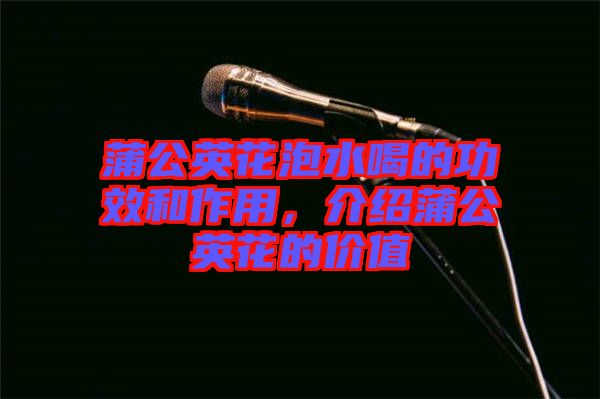 蒲公英花泡水喝的功效和作用，介紹蒲公英花的價值