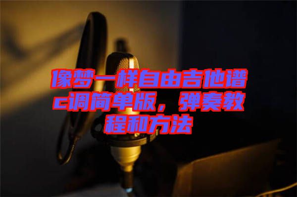 像夢一樣自由吉他譜c調(diào)簡單版，彈奏教程和方法