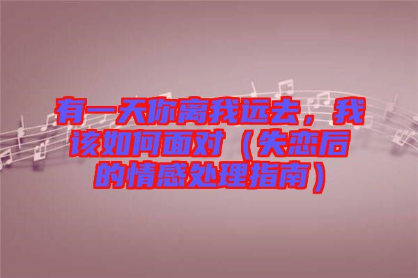 有一天你離我遠(yuǎn)去，我該如何面對（失戀后的情感處理指南）