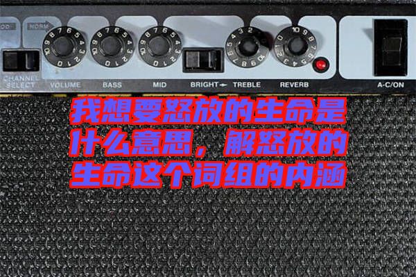 我想要怒放的生命是什么意思，解怒放的生命這個詞組的內涵