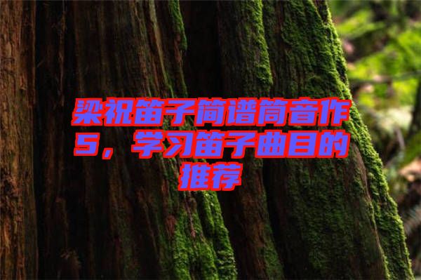 梁祝笛子簡譜筒音作5，學(xué)習(xí)笛子曲目的推薦