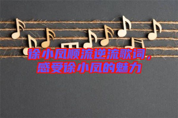 徐小鳳順流逆流歌詞，感受徐小鳳的魅力