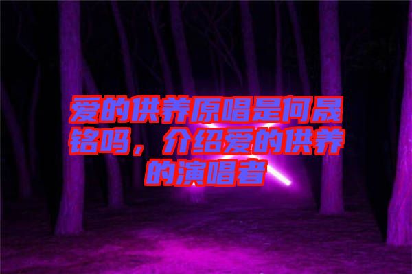 愛的供養(yǎng)原唱是何晟銘嗎，介紹愛的供養(yǎng)的演唱者