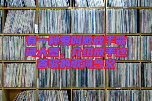 有一種愛叫做放手歌詞大意，介紹放手這首歌的歌詞含義