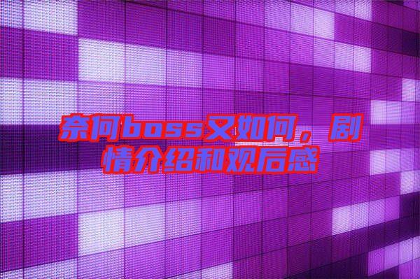 奈何boss又如何，劇情介紹和觀后感